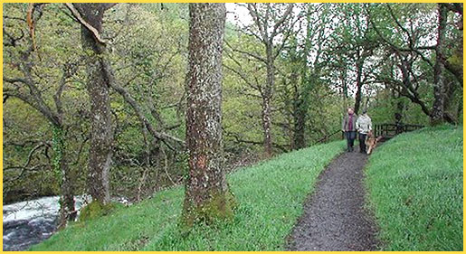 Clywedog Riverside Holiday Home Park Dog Walk