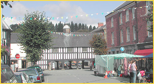 Llanidloes on Market Day
